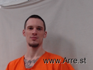 Tyler Anderson Arrest Mugshot