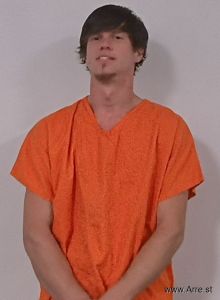 Tyler Wilson Arrest Mugshot