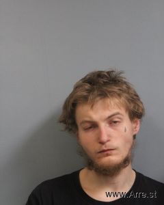 Wyatt Sands Arrest