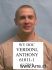 ANTHONY VERDONI Arrest Mugshot DOC 02/19/2015