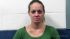 Amanda Bowyer Arrest Mugshot SRJ 02/02/2018
