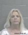 Christine Wilson Arrest Mugshot SRJ 4/18/2013