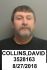 David Collins Arrest Mugshot DOC 12/15/2011