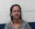 Dianna Adkins Arrest Mugshot SRJ 05/31/2016