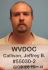 Jeffrey Callison Arrest Mugshot SRJ 11/10/2015