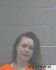 Lisa Cook Arrest Mugshot SRJ 1/19/2014