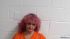 Michelle Mullins Arrest Mugshot SRJ 06/03/2023
