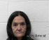 Patricia Mcbride Arrest Mugshot SRJ 09/24/2017