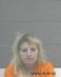 Roxanna Sloan Arrest Mugshot SRJ 12/21/2013