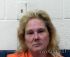 Sandra Adkins Arrest Mugshot SRJ 06/18/2017