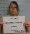 Stephanie Hammel Arrest Mugshot DOC 7/3/2014