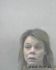Stephanie Zink Arrest Mugshot SRJ 12/17/2012