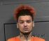 Tevin Johnson Arrest Mugshot WRJ 07/28/2024