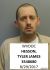 Tyler Hesson Arrest Mugshot DOC 6/8/2016
