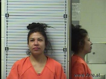 Audrey Lynn Estes Mugshot