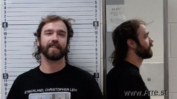 Christopher Levi Strickland Mugshot