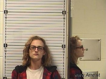 Erin Paige Royer Mugshot