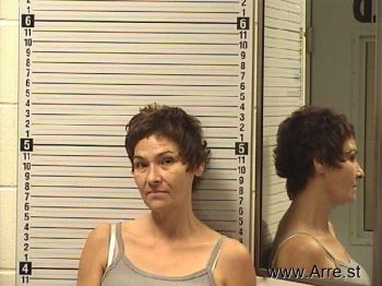 Holly Ann Olsen Mugshot