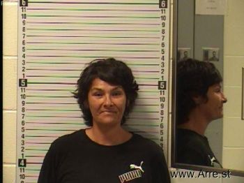 Holly Ann Olsen Mugshot