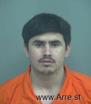 Jesus Emigdio Castillo-vega Mugshot