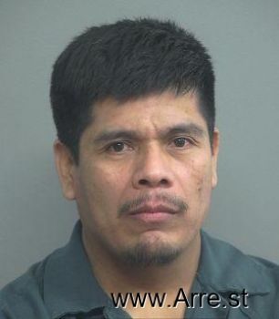 Marcos  Flores Cortez Mugshot