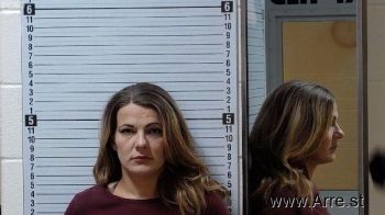 Natasha Mason Hutchins Mugshot