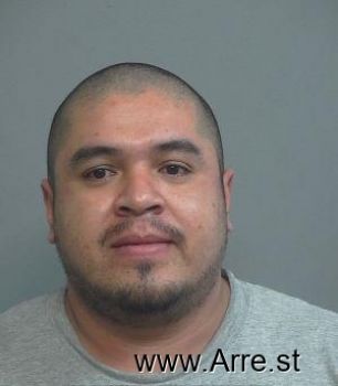 Ricardo  Gonzalez Sandoval Mugshot