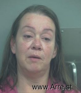 Heidi Allen Arrest Mugshot