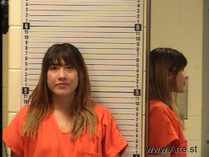 Katie Gates Arrest Mugshot
