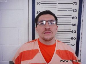 Travis Wallace Arrest Mugshot