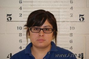 Vanessa Lara Arrest Mugshot