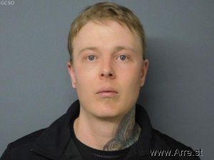 William Mcfaul Arrest