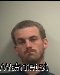 Erik Gelfenstein Arrest Mugshot