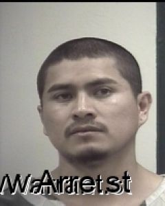 Luis Fernando Arrest Mugshot