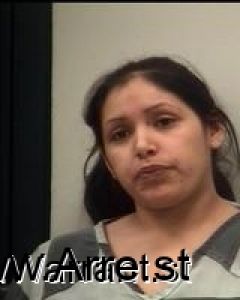 Viviana Garcia Arrest Mugshot
