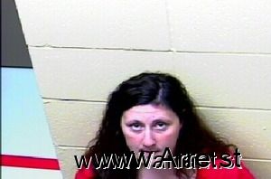 Ann Carnicle Arrest Mugshot