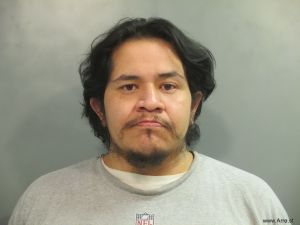 Mauro Rubio Arrest Mugshot