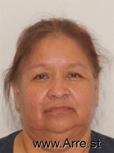 Michelle Vincent Arrest Mugshot