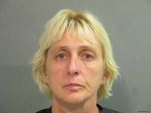Tammy Gilliland Arrest Mugshot