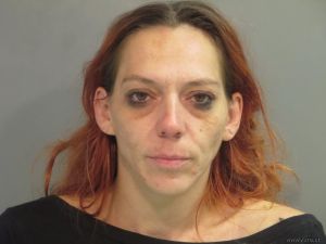 Tina Mcelhaney Arrest Mugshot