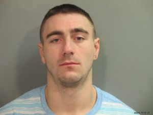 Tyler Mcgowan Arrest Mugshot