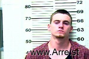 William Lewis Jr Arrest Mugshot