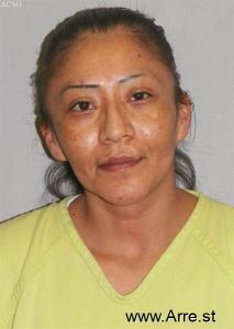 Karen Curtis Arrest Mugshot