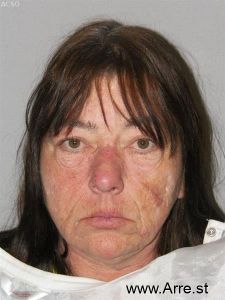 Sue Pearce Arrest Mugshot