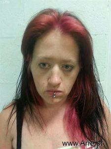 Christina Silveira Arrest Mugshot