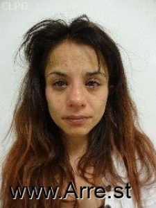 Nikki Mezger Arrest Mugshot