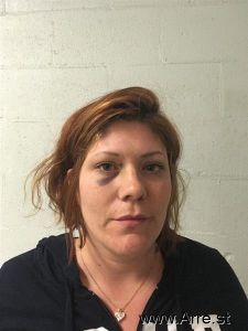 Rose Fulkerson Arrest Mugshot