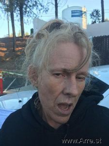 Theresa Lisenbee Arrest Mugshot