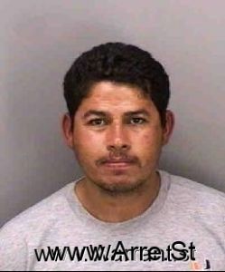 Alex Rodriguez Arrest Mugshot