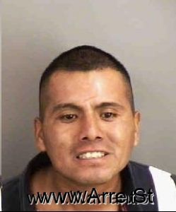 Amado Arreola Arrest Mugshot